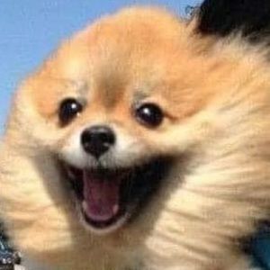 Meet your Posher, Bryan